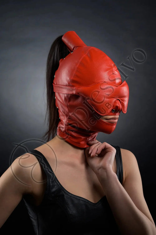 Real Leather Bondage set in Red: BDSM Ponytail Hood + Leather Blindfold &  Muffle Gag